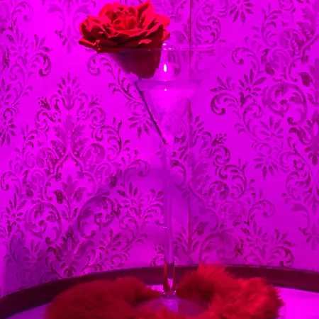 Suite romantique avec jaccuzy à la gare de Montpellier Esterno foto